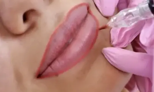 Delineado Labial